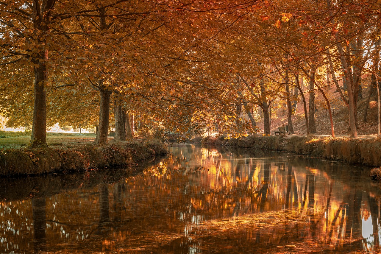 Mariensingen im Gurker Dom: Melodien für den guten Zweck
